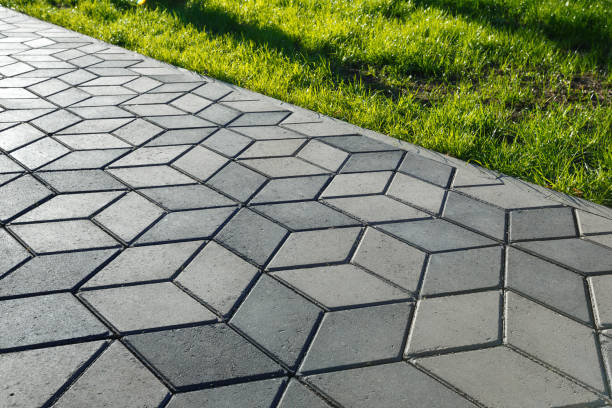 Best Driveway Paving Contractor  in Gaylord, MN